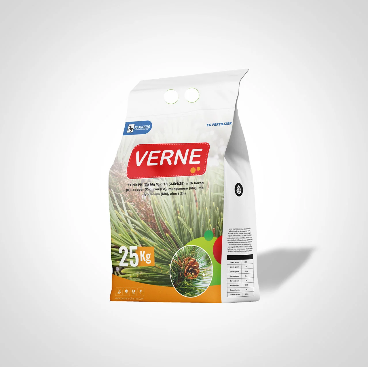 VERNE