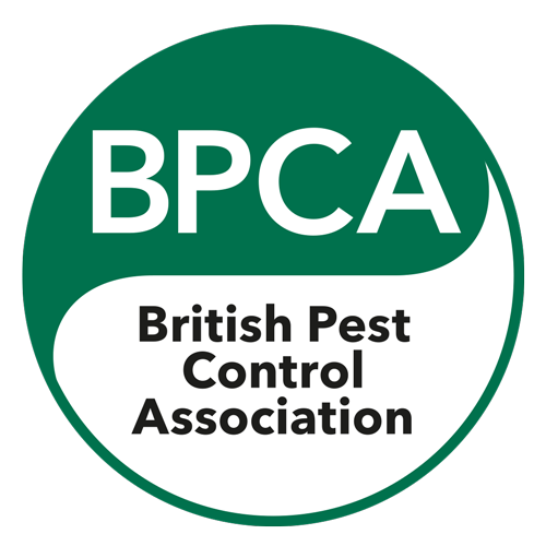 BPCA